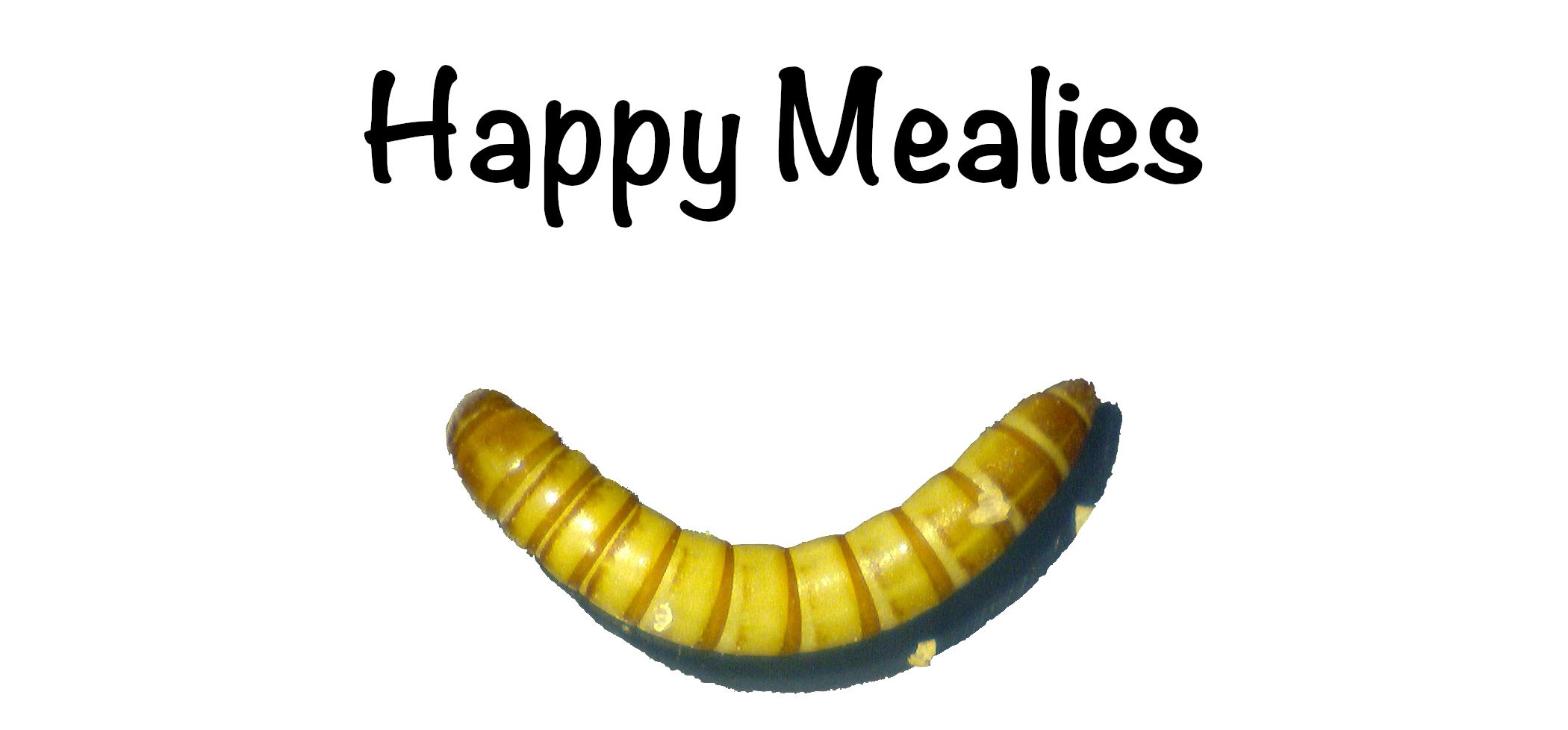 Happy Mealies