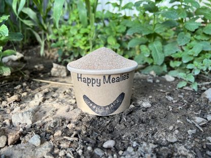 Frass Fertilizer in a paper Happy Mealies cup on the ground with green plants around